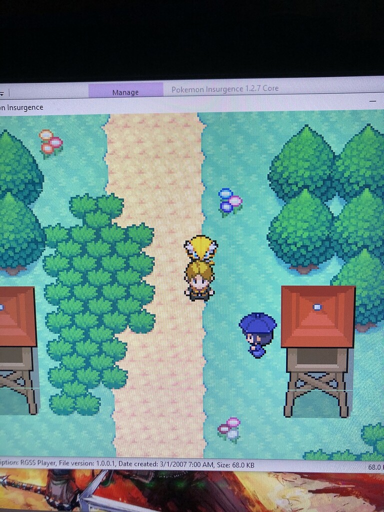 pokemon insurgence core missing