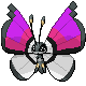 vivillon_front (1)