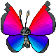 vivillon_front (2)