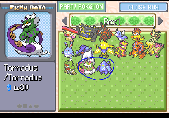 Celadon City: Pokémon Randomizer